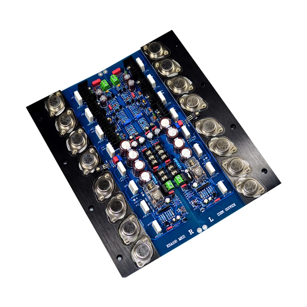 Герметичный трубный усилитель AIYIMA KSA100 2 шт. аудиоплата 100Wx2 Hi-Fi стерео высокой