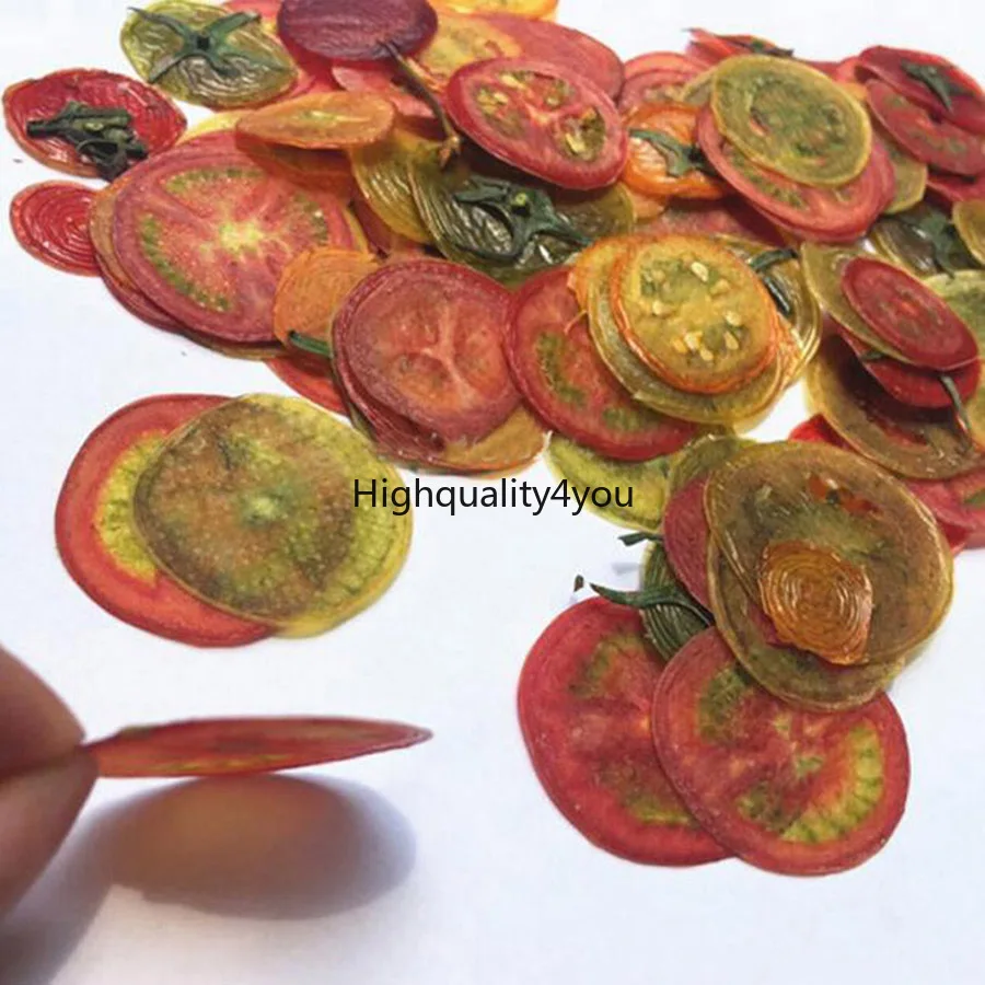 

30pcs Dried Pressed Vegetable Tomato Slices Plant Herbarium For Exop Jewelry Photo Frame Phone Case Bookmark Craft DIY Making