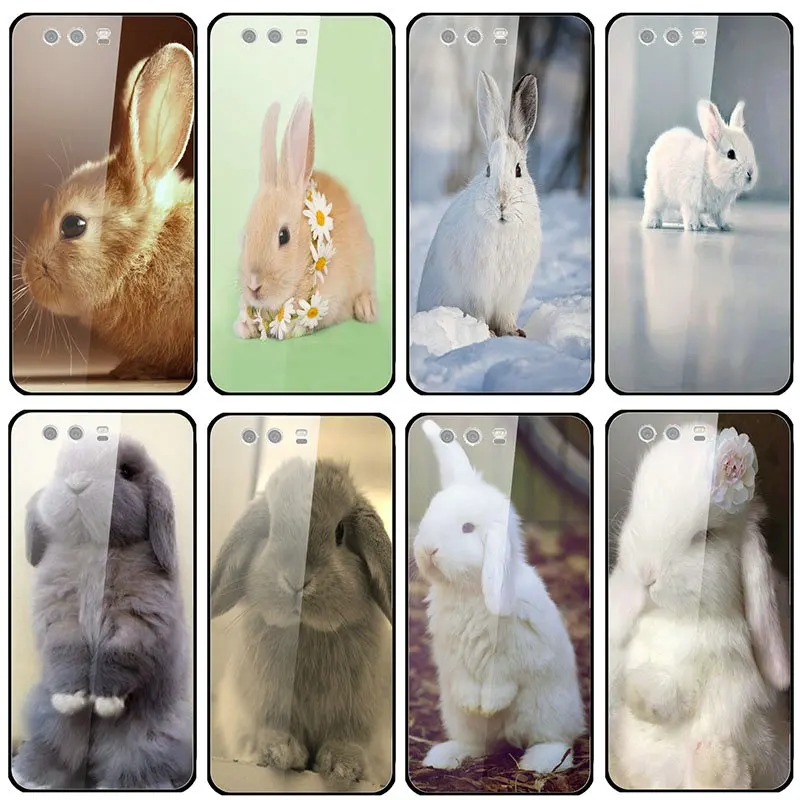 Симпатичные белые кролики для телефонов Huawei Mate 20 Y6 Y9 Honor 8X 8 8A 9 10 P20 P30 Plus Lite Pro 2018 2019 в защитных стеклах.