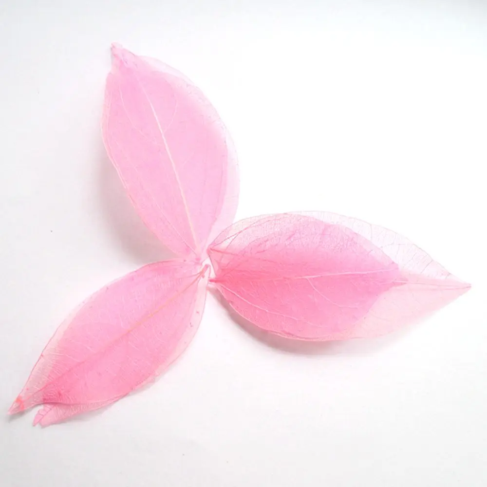 100 шт. белого цвета по желанию натуральный каркас листьев для самостоятельного