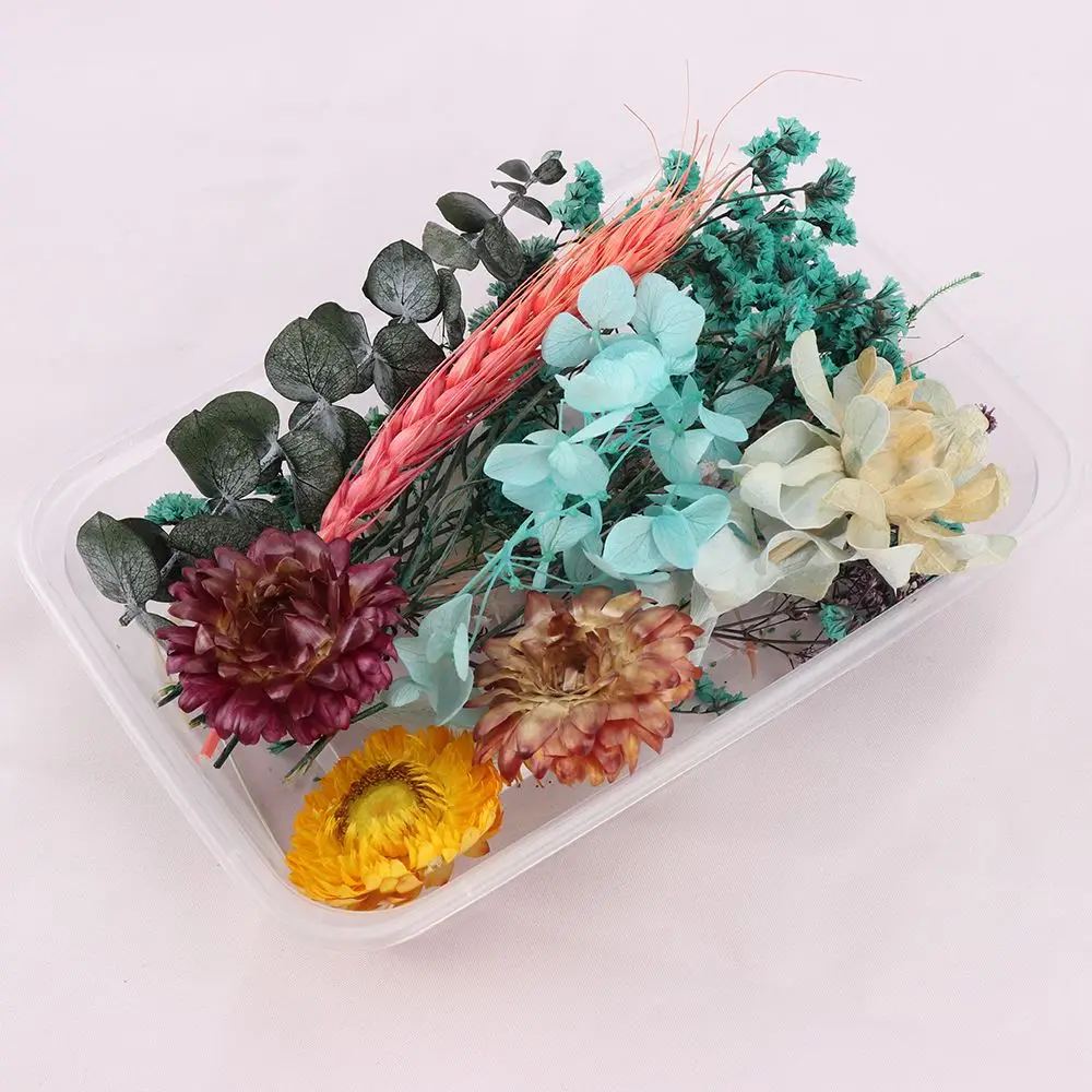 Dried Flower A Box Aromatherapy Floating Flowers Heads Making Craft DIY Greeting Cards Hand-Made Botanical Painting Decor | Дом и сад