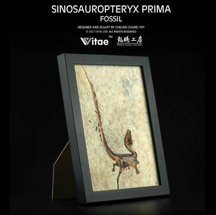 Оригинальная модель динозавра (синозавроптерикс Прима) ископаемая копия