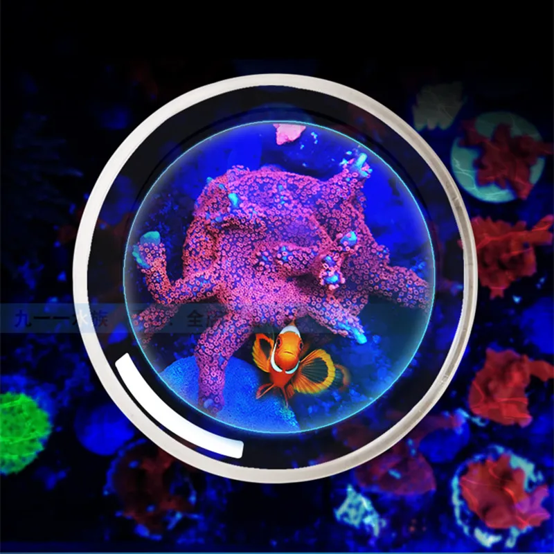 Aquarium marine reef tank tools SPS LPS Aquarium viewing mirror water magnifying glass water surface observation photography