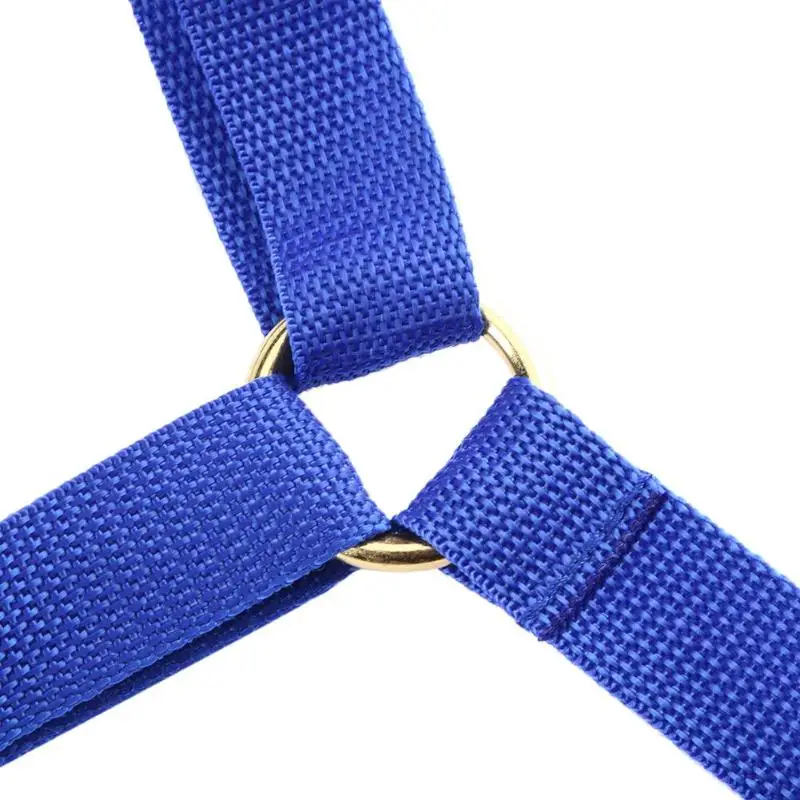 

Fishing Vest Rod Waist Protecting Fishing Belt Trolling Jigging Rod Waist Protecting Vest Holder Gimbal 39cm*49cm Fishing Tools