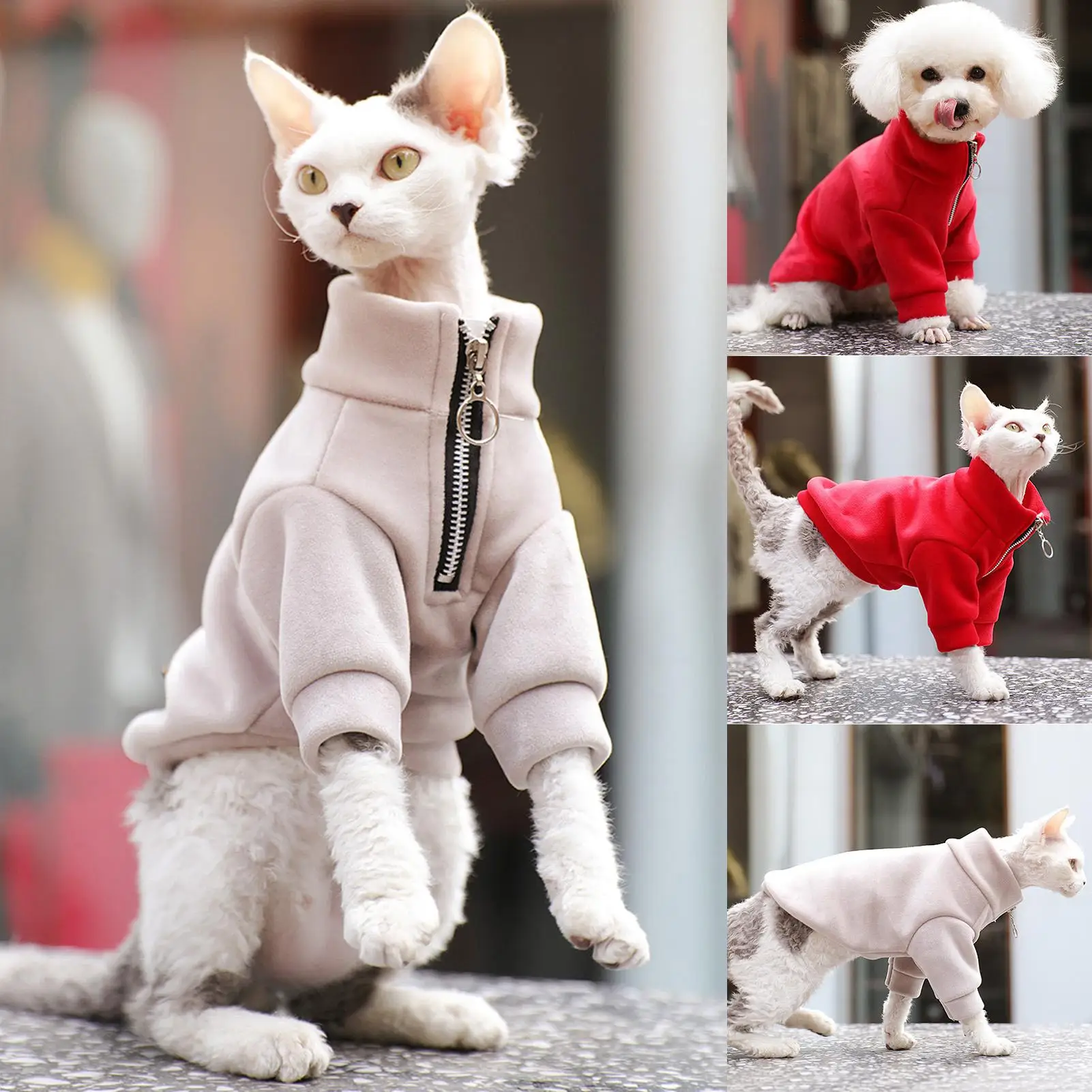 

Пальто-свитер для собак, одежда для домашних животных осень-зима однотонные Цвет застежка-молния комплекты из двух предметов из теплого брюки с широкими штанинами свитер для собаки, для питомца одежда