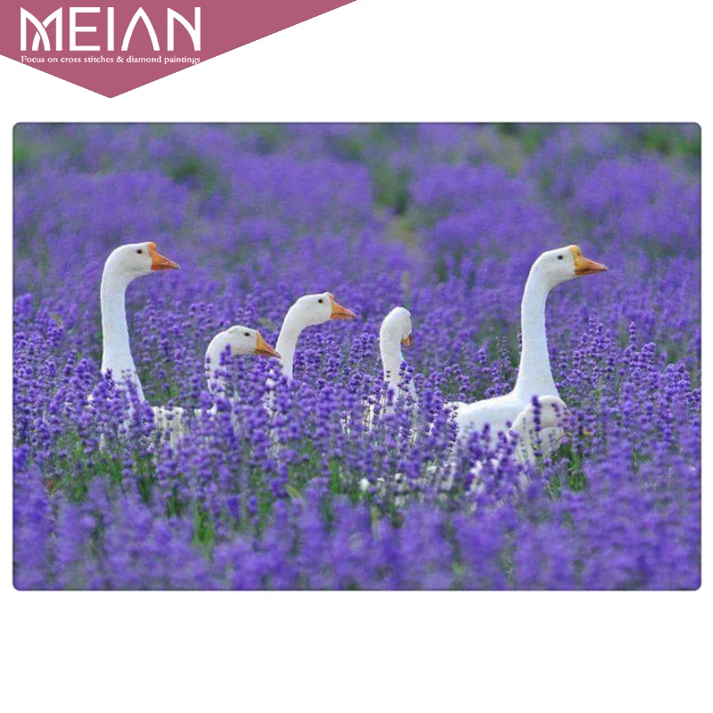 Вышивка крестиком MEIAN swan из лаванды вышивка крестом мозаика стразы хобби 2020 | Дом