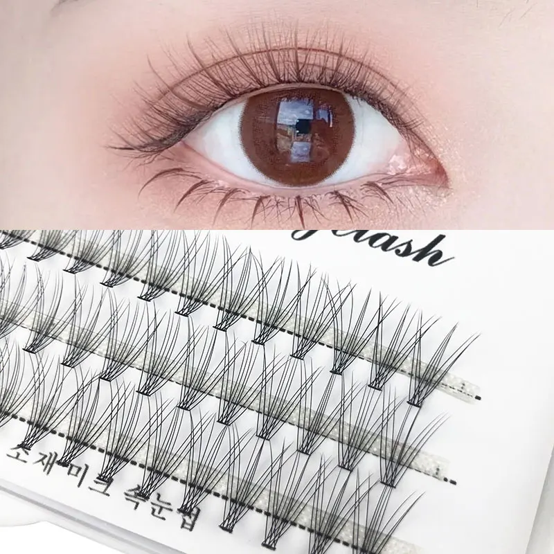 

1 Tray of Individual Eyelashes 60 Cluster False Eyelashes Flare Individual Eye Lashes Lash Grafting Eye Lashes Daily Eye Makeup