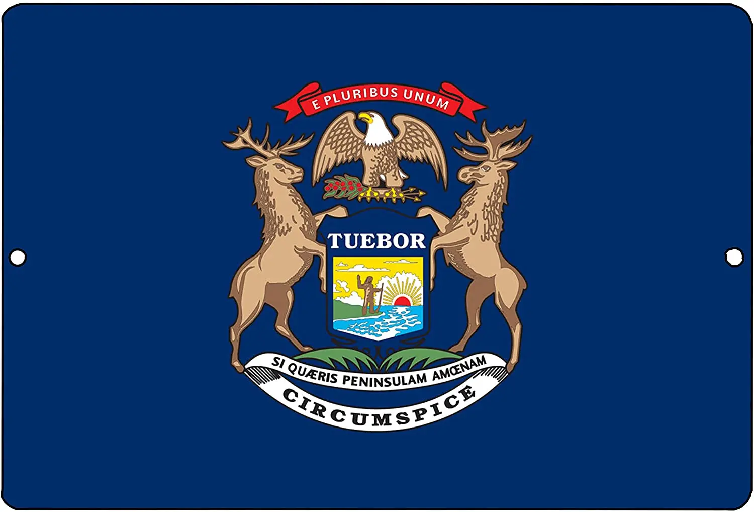 Металлический жестяной знак с флагом штата Мичиган Настенный декор мужская