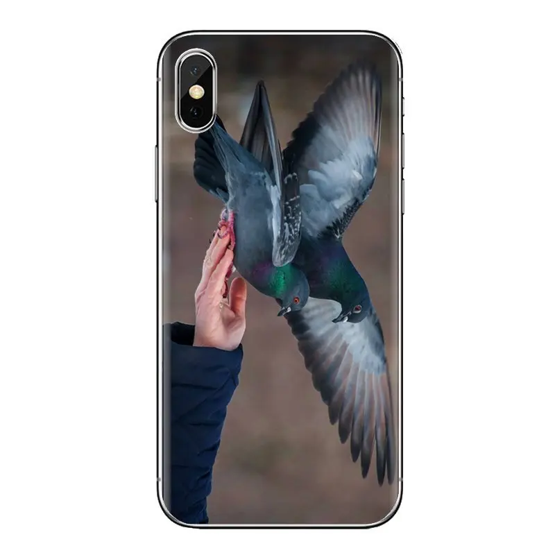For iPod Touch Apple iPhone 4 4S 5 5S SE 5C 6 6S 7 8 X XR XS Plus MAX Pigeon Feeding beautiful bird Transparent TPU Cases Covers |