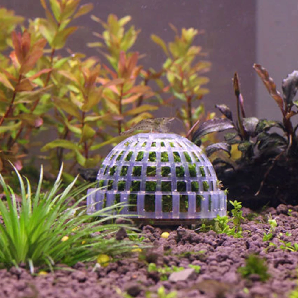 Мох Marimo шариковый фильтр живой аквариум водные растения рыба креветка Танк