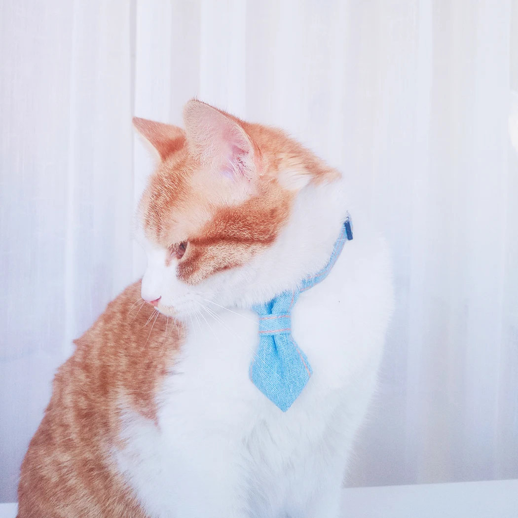 3 шт. галстук для животных набор декоративный регулируемый собаки бабочка