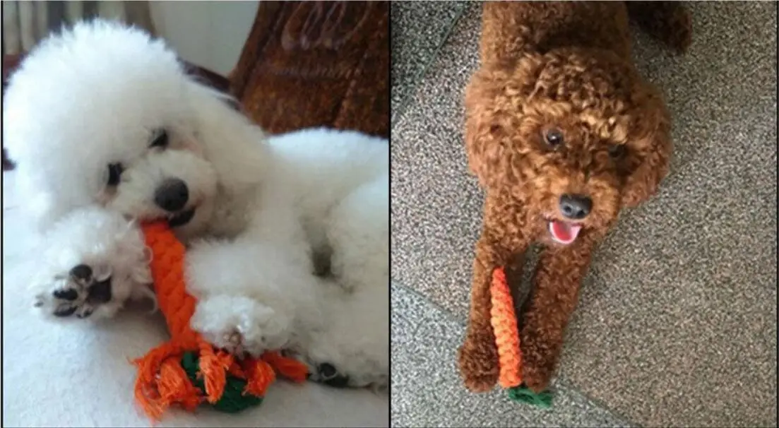 1 шт. Детская Хлопковая игрушка для животных | Дом и сад