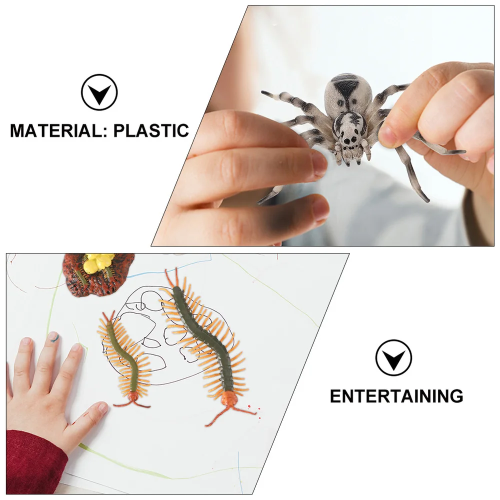 

4 Sets Tarantula Rooster Centipede and Spider Growth Cycle Models Kids Toys