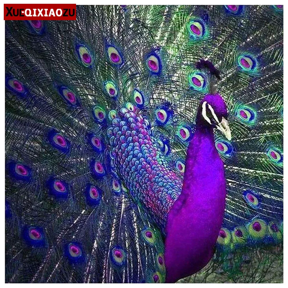 

5D Diy Полная квадратная/круглая Алмазная вышивка картины Фиолетовый Синий Павлин Вышивка крестом мозаика домашнее украшение набор для насте...