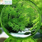 Zhui star 5d diy Алмазная вышивка Зеленый пейзаж Алмазная картина вышивка крестиком полностью квадратная дрель горный хрусталь мозаика для дома gx
