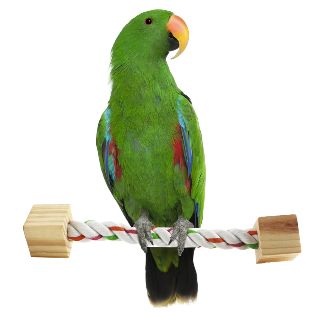 2 шт. птичий канат окунь креативный портативный попугай птица стенд игрушка