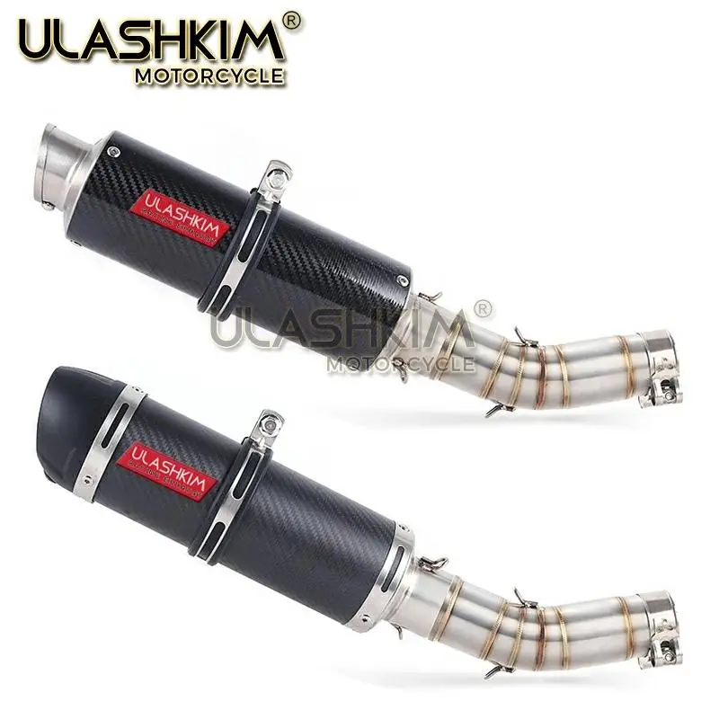 Полная выхлопная система мотоцикла глушитель Escape slip on для suzuki GSX250R GSX 250R GSX250 GW250 Link средняя труба с DB-KILLER