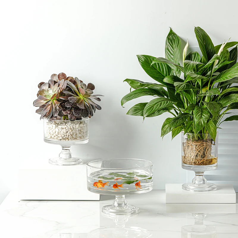 Прозрачная стеклянная фотопластина в европейском стиле креативная Высокая