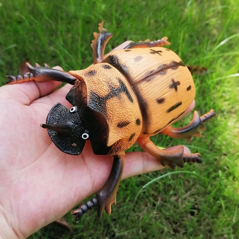 

Simulation Wildlife Model Ornaments Realistic Insect Figure Children Educational Props Scene Decoration Kids Learning Pretend Pl