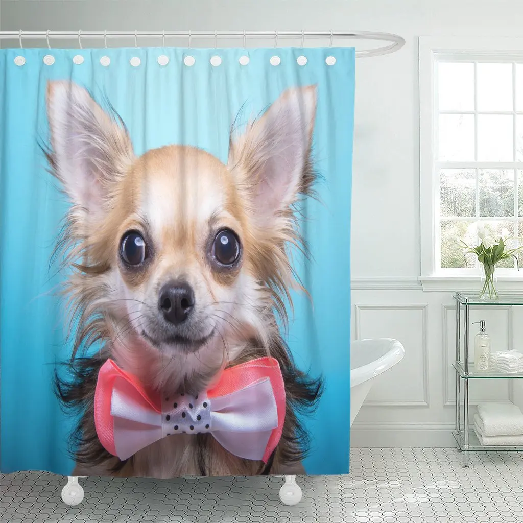 

Красивые Чихуахуа галстук-бабочка для собаки животное портрет в синем цвете душ Шторы полиэстер 60x72 дюйма для ванной комнаты с крючками