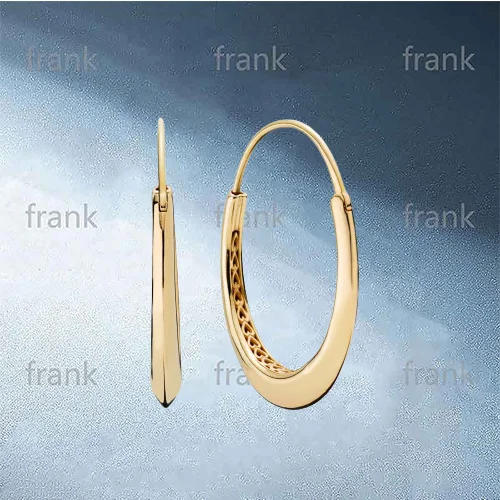 

268070 Shine Exotic Hoop Earrings