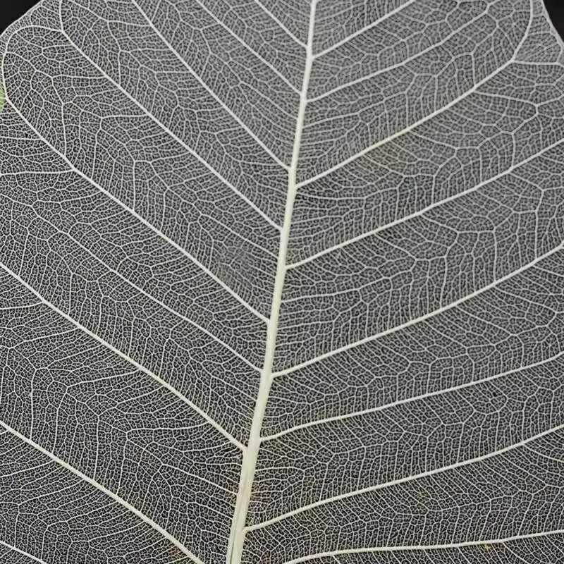 

ZL 1PC White Bodhi Leaf Tea Filter Mesh Leaf Shaped Book Marker Reusable Loose Tea Spice Filter Strainers Kitchen Tools