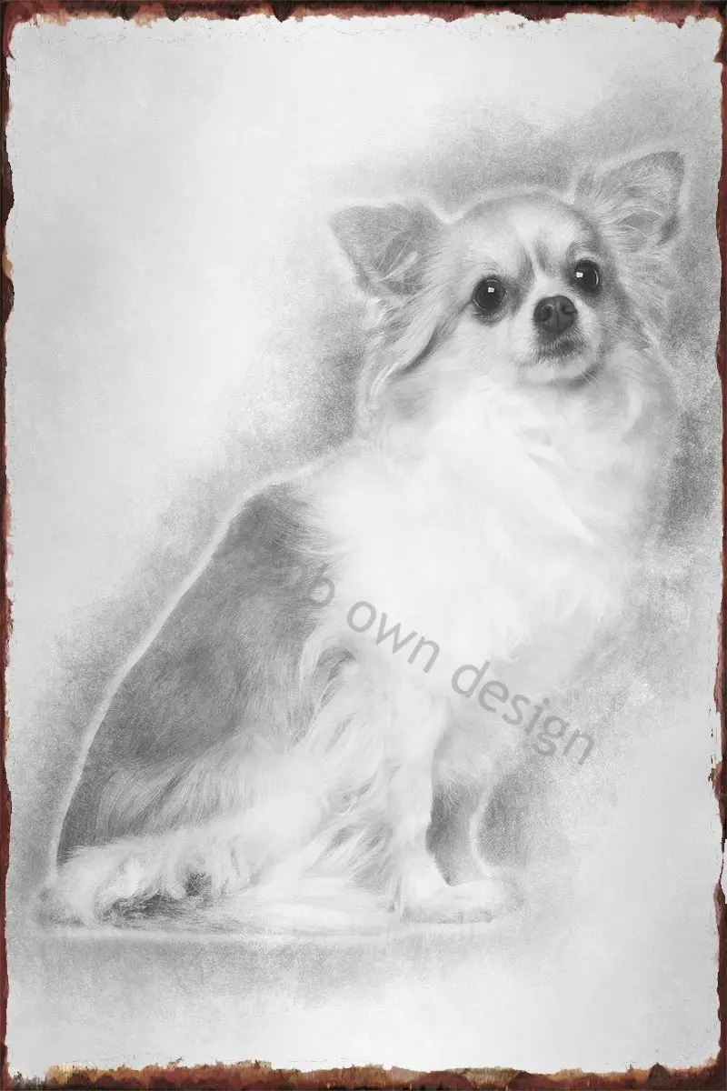 

Жестяной знак для чихуахуа 4 года, жестяные таблички, Настенный декор, Ретро винтажный металлический знак для искусства, кафе, паба, дома, клу...