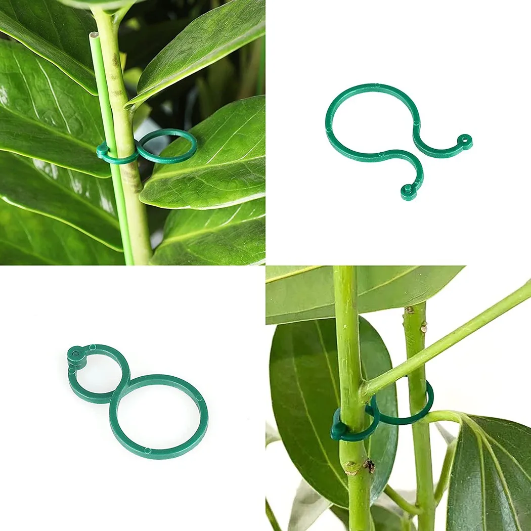 Зажимы для ягод зажимы соединитель цветов сада растений на открытом воздухе