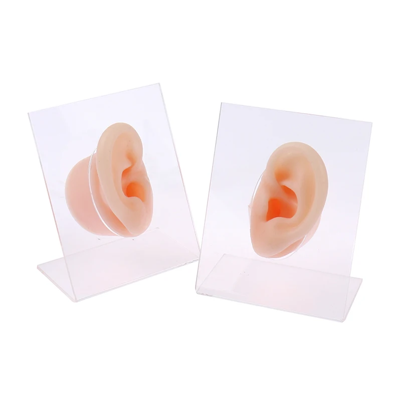 

1 Pcs Ear Piercing Model Display Visual Ear Acquisition Ear Canal Model Teaching Tool Piercing Tools Can Be Reused Body Jewelry