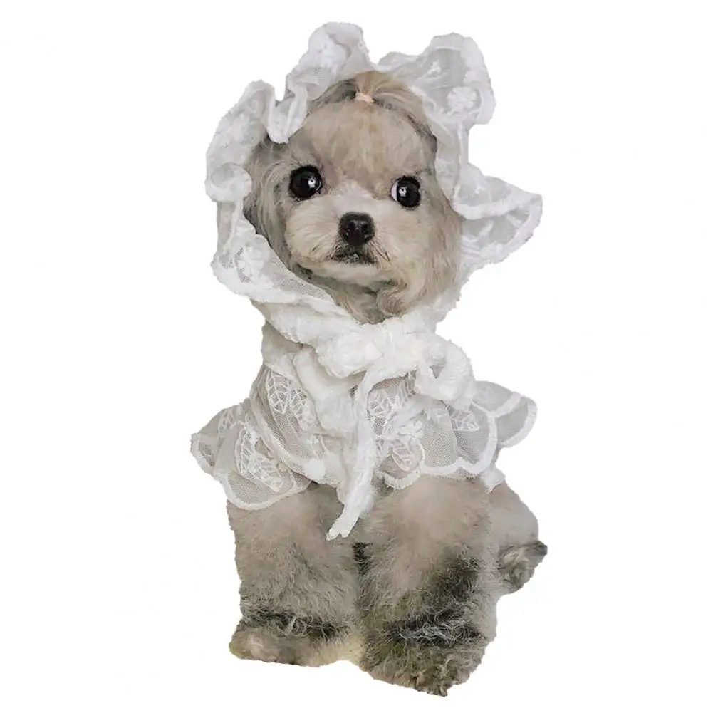 

Fashionable Pet Lace Hat Cute Breathable Round Neck Puppy Lace Skirt