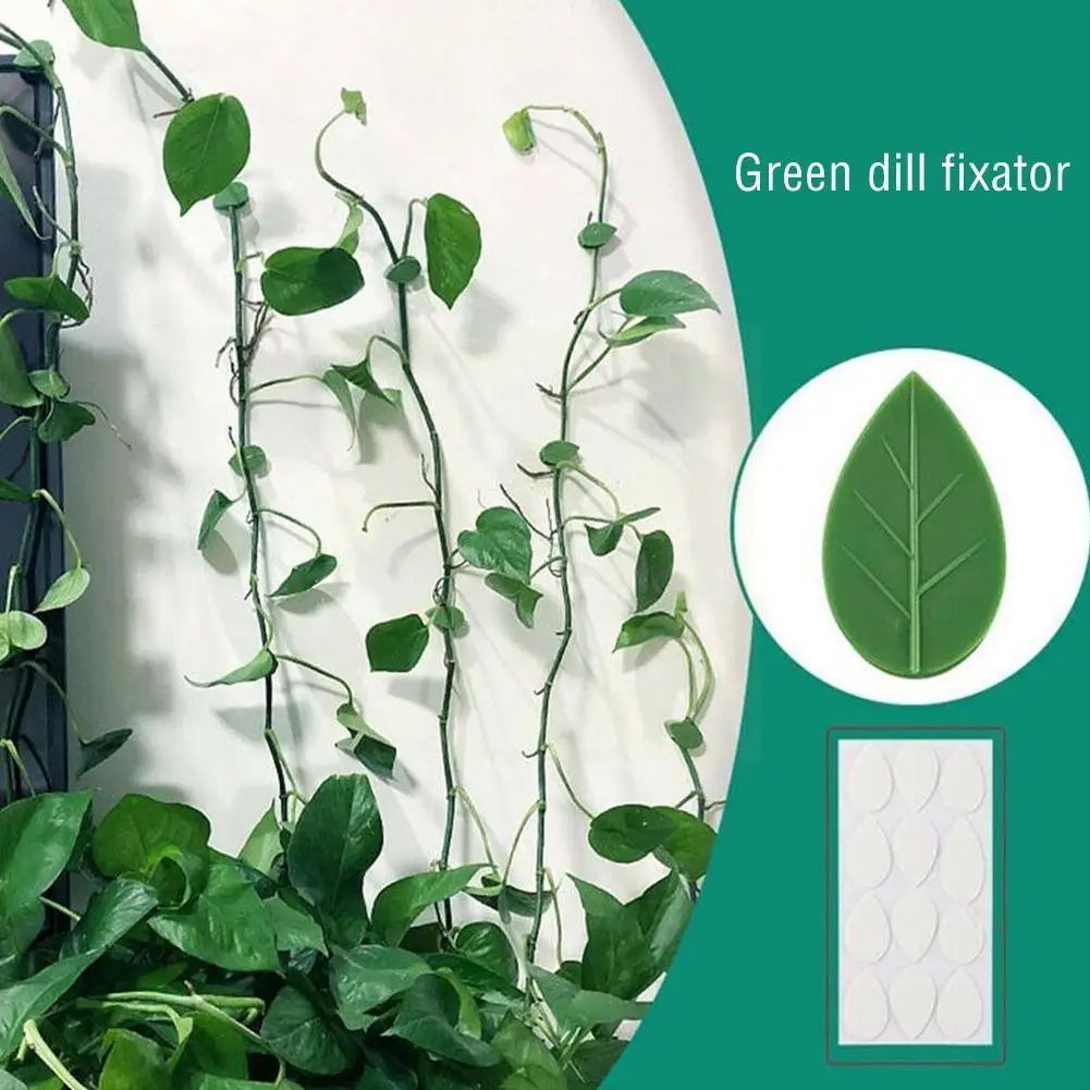 

20pcs Plant Fixture Clip Plant Climbing Wall Self-Adhesive Fastener Tied Plants Vine Buckle With Film Hook Garden 24 Acryli Z7Q5