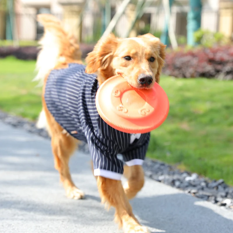 Suprimentos para Animais de Estimação ao ar Treinamento do Cão Livre Trata Treinamentos Disco Voador Brinquedos Agilidade Floaties Pies Akcesoria Supplie Eh50dt Cão