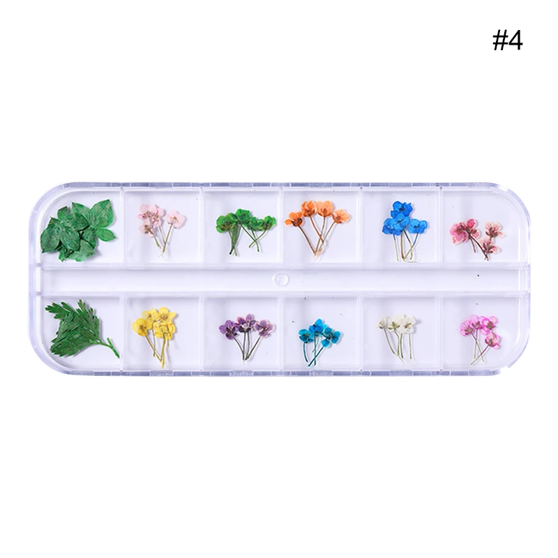 Pattern 15 1 коробка, сушеные цветы, лист, украшение для ногтей, натуральный цветочный стикер, 3D, сухая красота, наклейки для ногтей, ювелирное изделие, УФ Гель-лак для маникюра - Цвет: Pattern 15