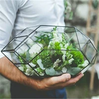 handmade glass terrarium modern planter for indoor gardening geometric crystal shape orchid planter table greenhouse