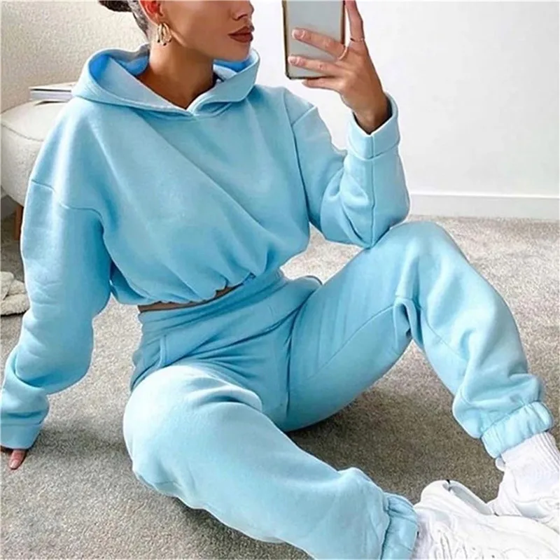 

2021 New Womens 2 Piece Sets Sportswear Zipper Tracksuit Women Tracksuit Two Piece Set Casual Sport Suit Lounge Wear Tracksuit