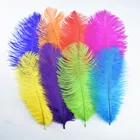 10 шт.лот страусиные перья, страусиные перья 25-30 см 10-12 дюймов, белые свадебные перья, украшение для дома, карнавальные сборы