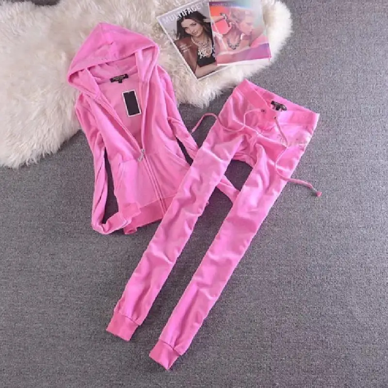 

2021 Women's Elegant Velvet Tracksuit Two Piece Set Women Sexy Hooded Long Sleeve Top And Pants Bodysuit Suit