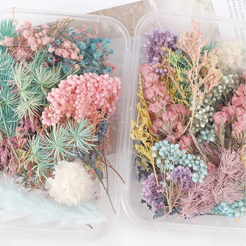 

1Box Colorful Real Dried Flower Plant For Aromatherapy Candle Epoxy Resin Pendant Necklace Jewelry Making Craft DIY Accessories