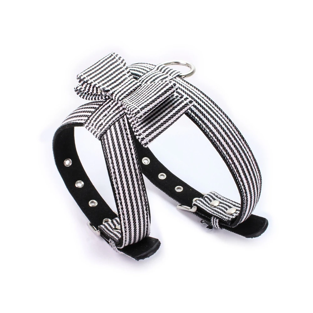 Полосатый рисунок кошек жилетка-поводок клетчатом образце ошейник для котенка