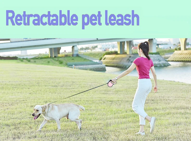 New Retractable Pet Dog Leash 3m 5m Automatic Durable Nylon Dog Lead Extending Puppy Walking Running Leads For Small Medium Dogs Dog Collars vintage