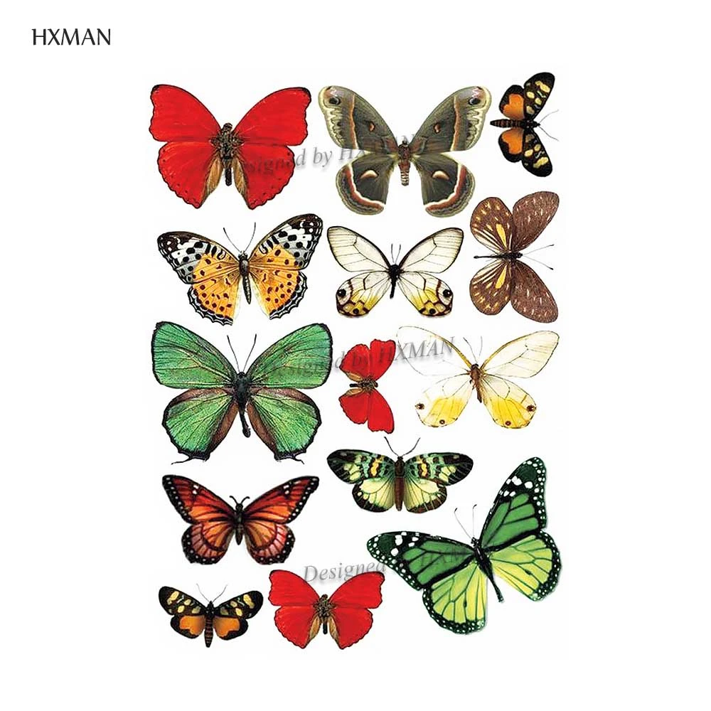 HXMAN бабочка Временная Акварельная тату-наклейка водостойкая Женская мода
