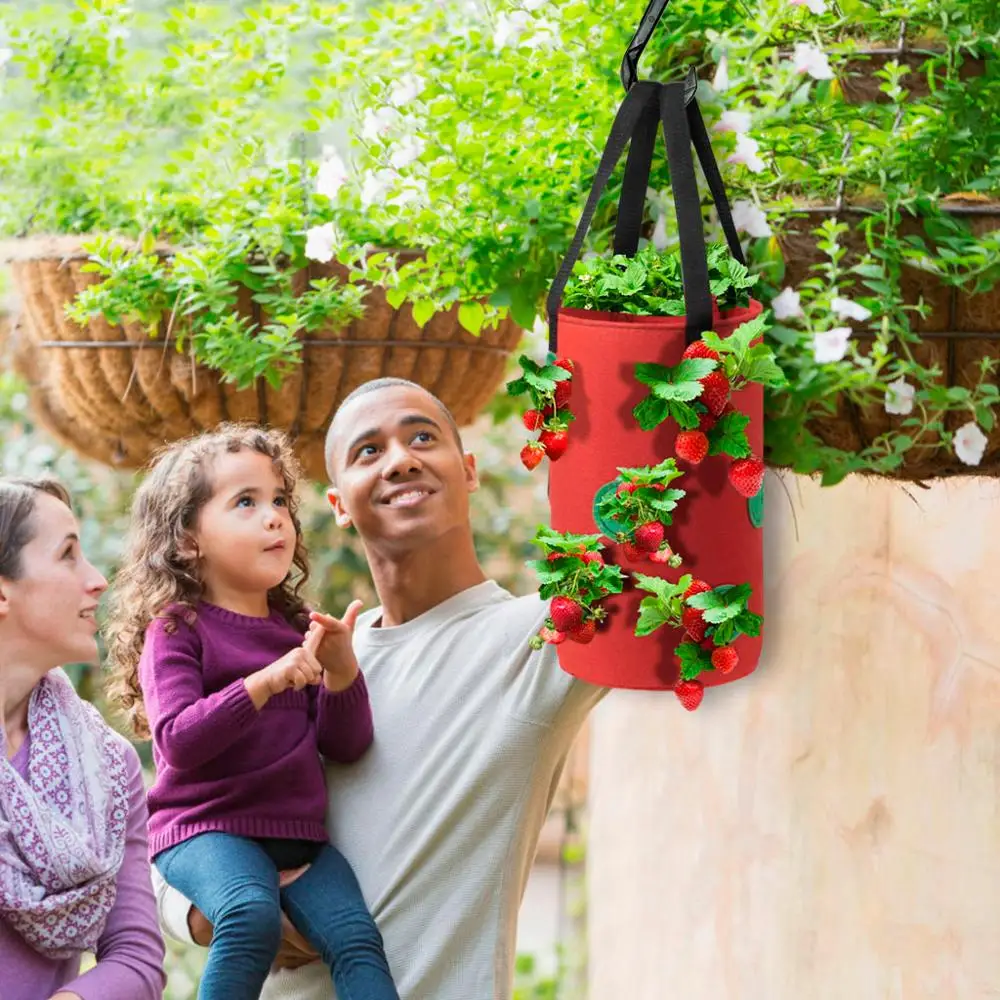 Картофельная сажалка для клубники мешки выращивания картофеля Открытый