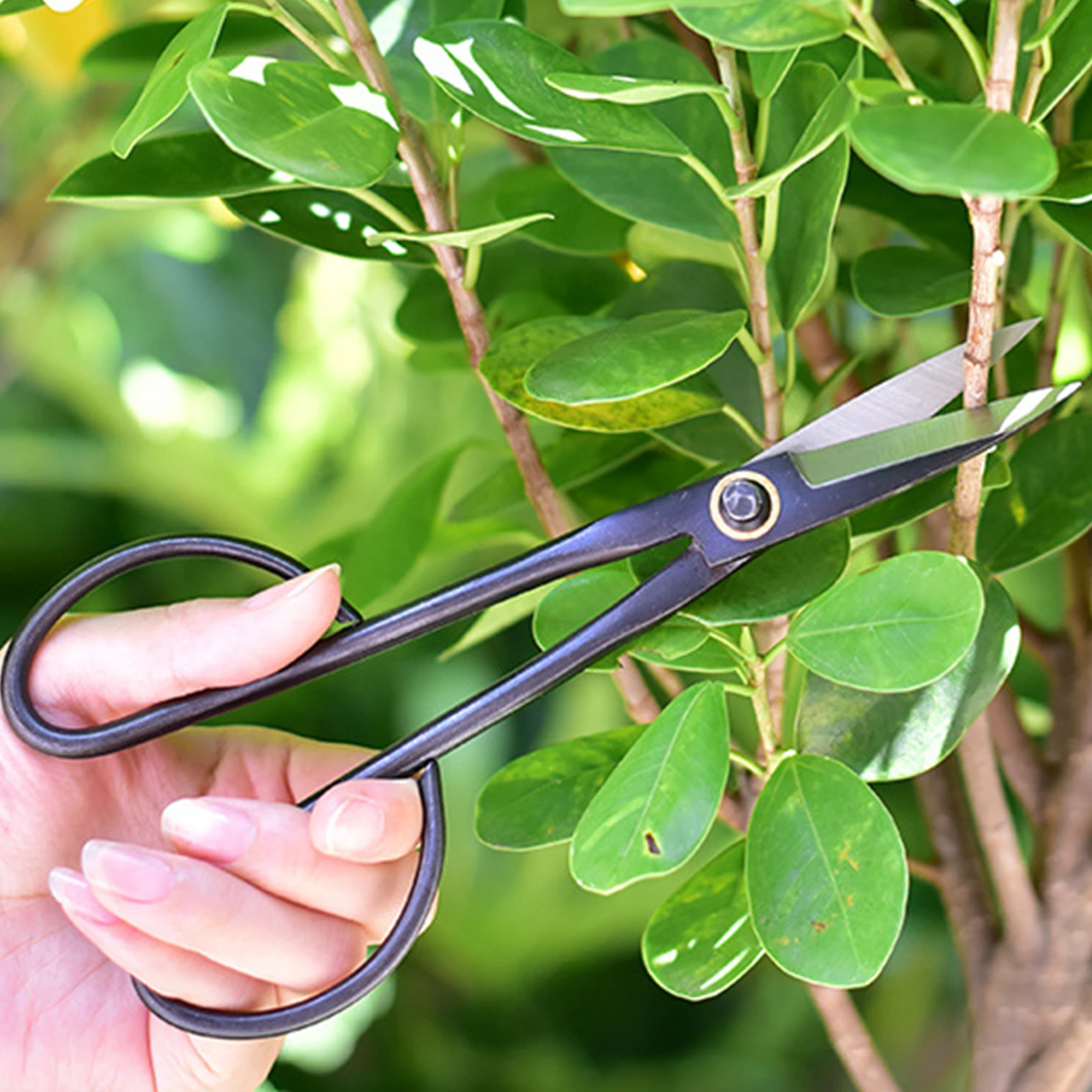 

Dropshipping 5PCS 20cm Home Gardening Long-handled Branch Cut Shears Bonsai Scissors Tool Portable Garden Branch ​Shears Tool