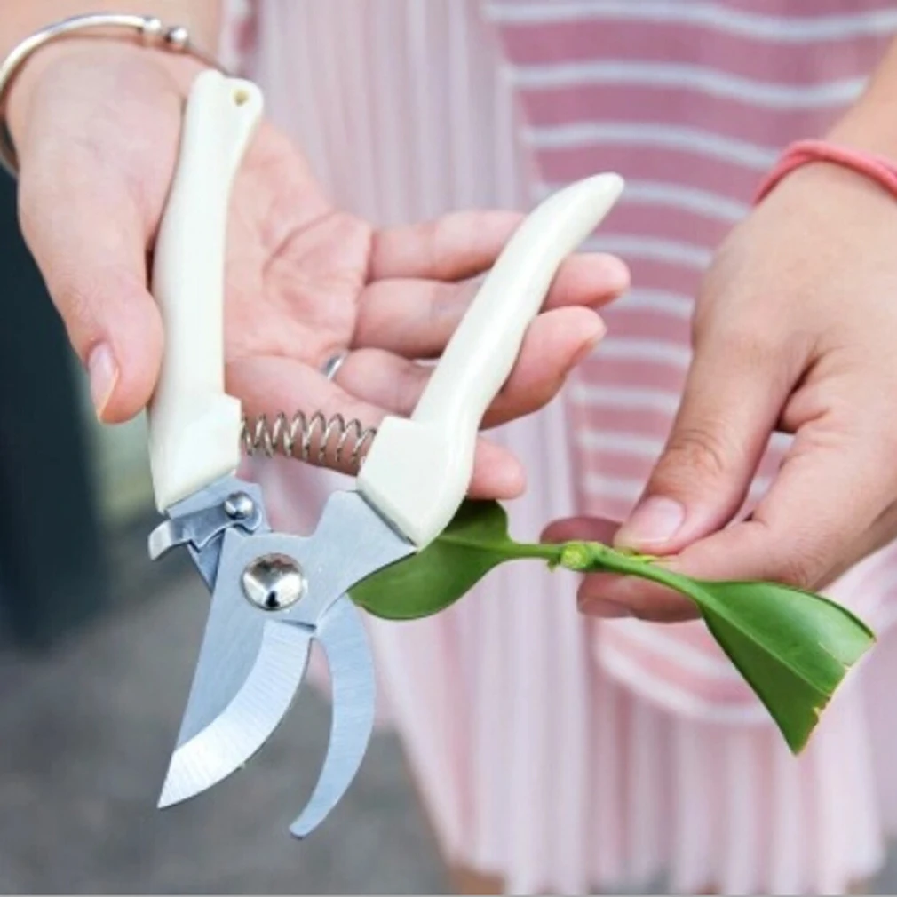 

Gardening Scissors Stainless Steel Fruit Picking Scissors Household Potted Trim Branches Small Scissors Gardening Tools 2 Type