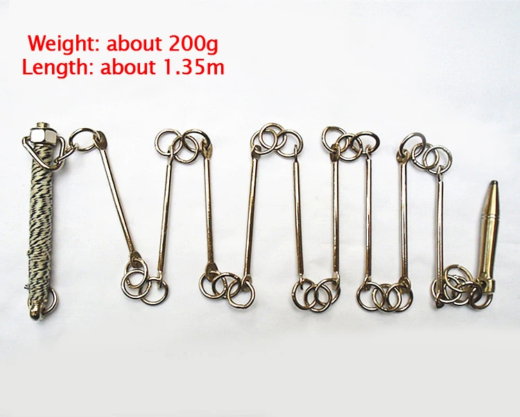 Nine section Whip Китайский традиционный боевое искусство представление тренировочный