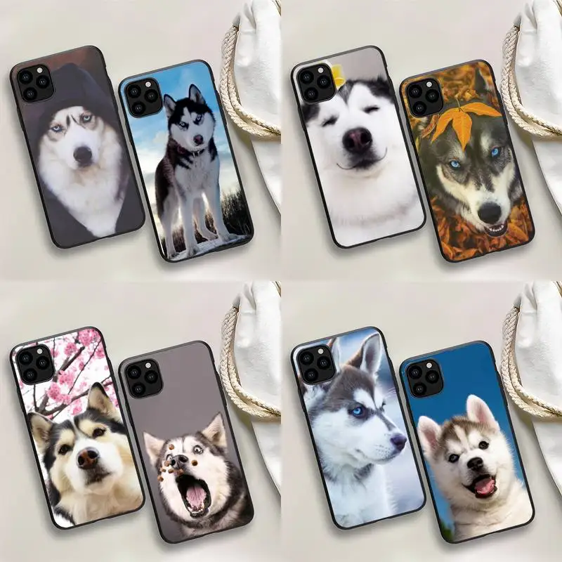 

Animal Husky cute Puppy Dog Phone Case For iPhone 13 12 mini 11 Pro max 8 7 6S Plus X XS 5S SE 2020 XR Capa