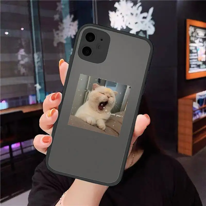 

cat Phone Cases matte transparent For iphone 7 8 11 12 plus mini x xs xr pro max cover