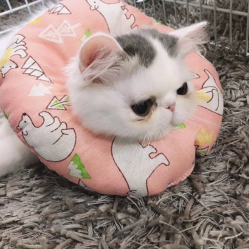 

2021 повседневное кольцо для кошки Элизабет круг кошка собака универсальная защитная Шея анти-захватывающее мягкое кольцо для головы