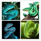 Алмазная мозаика 5D сделай сам со змеиным драконом, Набор для вышивки крестиком, полностью кирпичная вышивка, ручная работа, украшение для дома