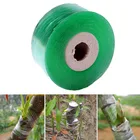 Лента самоклеящаяся, горячая распродажа, 2 см x 100 м, растягивающаяся, для сада, саженцы деревьев